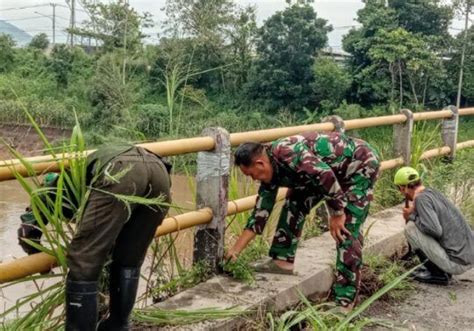 Persiapan Tanam Pohon Dansektor Pantau Langsung Pembersihan Bantaran