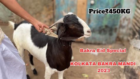 Bakra Eid Special Finally Bakra Mandi Lag Gyi Kolkata Bakra Mandi