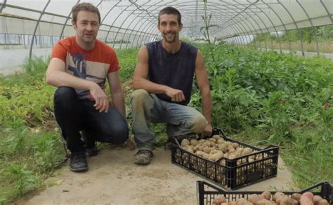 Les Amap Un Soutien Pour Lagriculture Locale Et Biologique