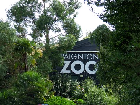 Paignton Zoo Environmental Park Plymouth University Summer School Blog