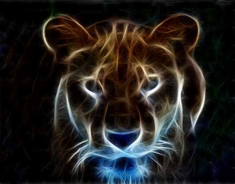 Lioness Light Art Photograph By Maggy Marsh