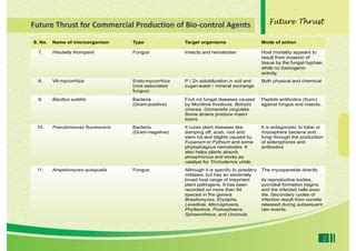 Opportunities For Biofertilizer Industries PPT