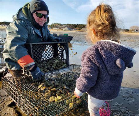 Wellfleet Oysters from Wellfleet, MA - Island Creek Oysters | Buy ...