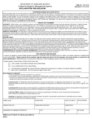 Fillable Online Fema Form Ff Fy Application For Crisis