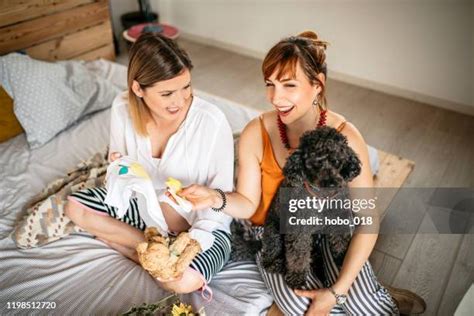 83 Baby Shower Dog Stock Photos, High-Res Pictures, and Images - Getty ...