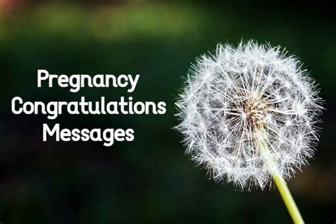 Beautiful Congratulations On Your Pregnancy Wishes And Messages