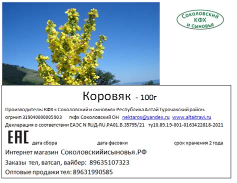Коровяк - 100г - Алтайские травы