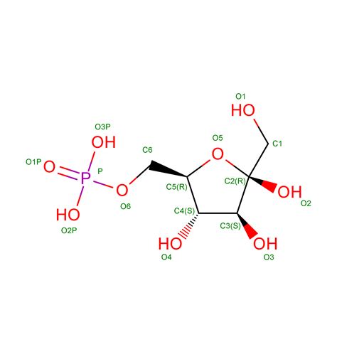 RCSB PDB - 4PFK: PHOSPHOFRUCTOKINASE. STRUCTURE AND CONTROL