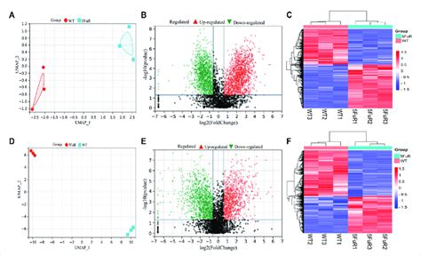 Differential Expressed Genes In 5 Fu Resistant Crc Cells A D Umap