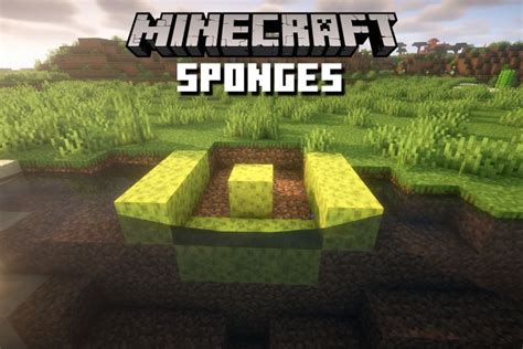 How To Get Sponges In Minecraft Easy Methods