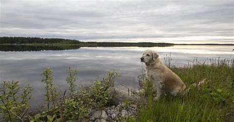 Lake Keitele Marko Koivunen Flickr