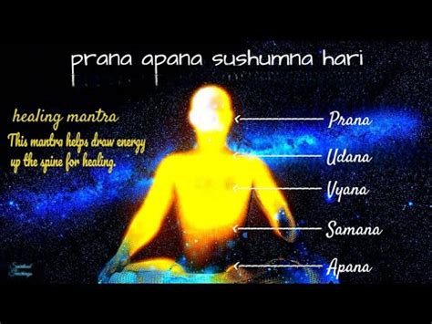 Prana Apana Sushumna Hari Magical Healing Mantra Meditation Chant