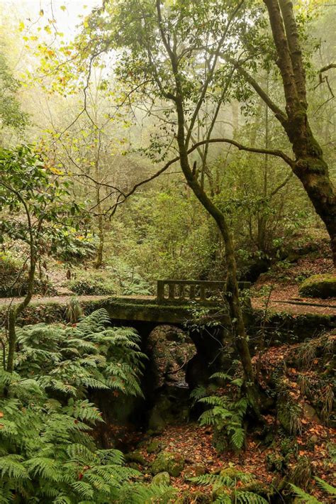 Rondreis Madeira Route Voor Daagse Roadtrip Reisjevrij Nl