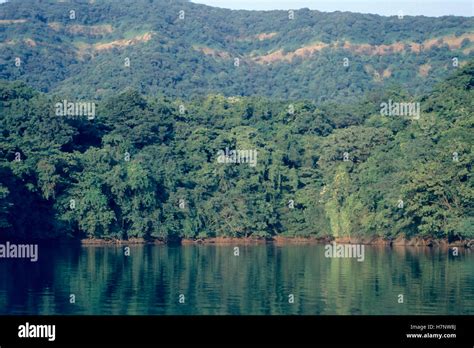landscape  koyna wildlife sanctuary maharashtra india stock photo