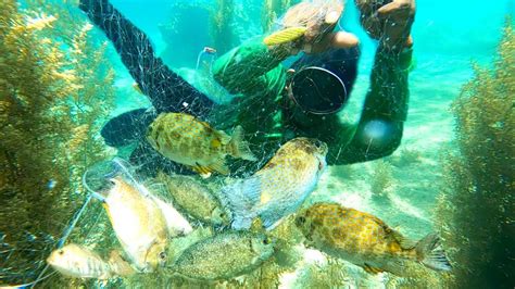 Napakalinaw Ng Kuha Sa Ilalim Ng Dagat Underwater Fishing YouTube