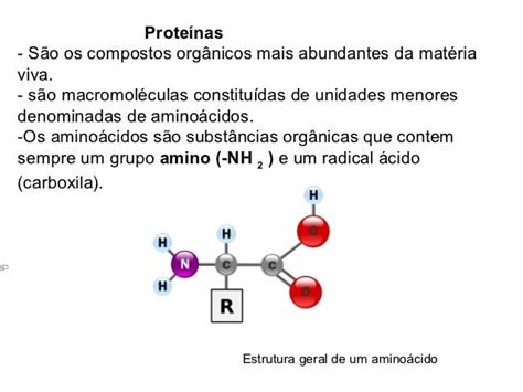 Proteínas Biologia