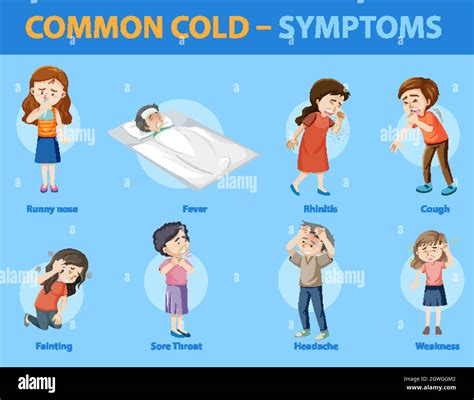 Common cold symptoms cartoon style infographic Stock Vector Image & Art - Alamy