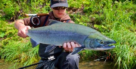 Discover The Best Alaska Sockeye Salmon Fishing