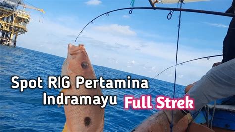 Mancing Ikan Di Laut Pantura Dapat Serangan Bertubi Tubi Semua Orang