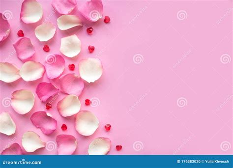 Pink And White Rose Petals On Pink Background Stock Photo Image Of