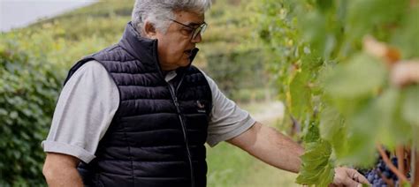 Mauro Sebaste Een Boutique Winery In Het Hart Van De Piemonte ONWINE