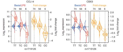 Expression Quantitative Trait Locus Eqtl Forschung Zentrum Für