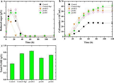 Growth And Lipid Production On Cellulose Medium Of Y Lipolytica