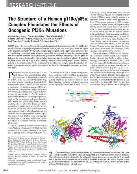 Pdf The Structure Of A Human P110 P85 Complex Elucidates The Effects