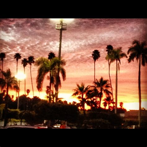 Los Mochis, Sinaloa, Mexico. Palms. Sunset. No filter. | Los mochis ...