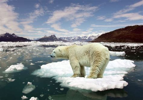 ¿qué Es El Deterioro Ambiental Causas Consecuencias Y Más