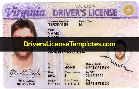 Blank Virginia Drivers License Template