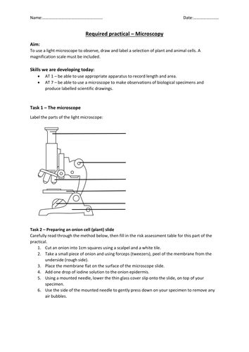 New Gcse 2016 Required Practical Microscopy By Hannahradford