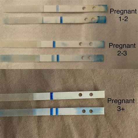 What Does A Positive Clearblue Digital Pregnancy Test Look Like Inside