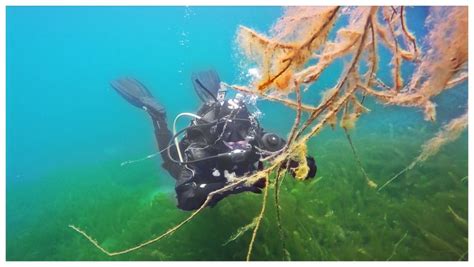 Unterwasserfotografie Insights Gopro® Action Cam Unicorn Divers