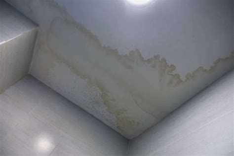 Does A Water Stain Ceiling Mean Mold?