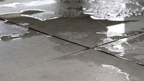 Wet Floor Sign Pictures Page