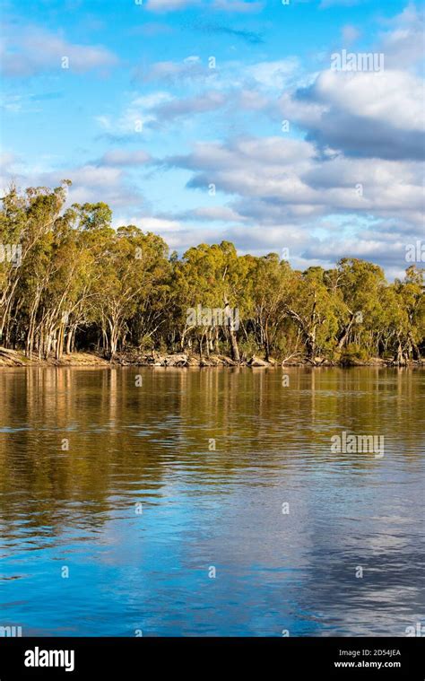 Murray River Australia Stock Photo - Alamy