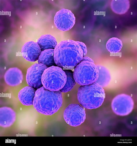 Les bactéries SARM L oeuvre de l ordinateur de Staphylococcus aureus