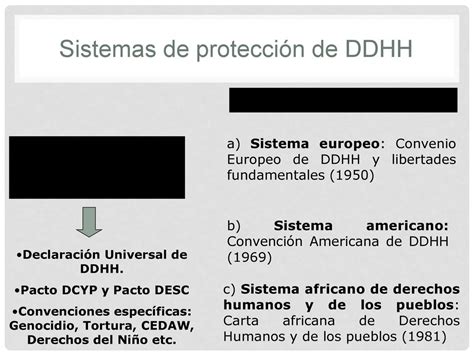 IntroducciÓn A La Protección Internacional De Ddhh Ppt Descargar