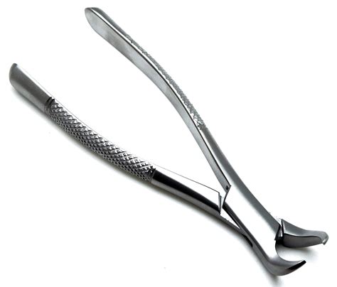 Amazon Dental Extracting Forceps 23 Cow Horn Lower Molar Teeth