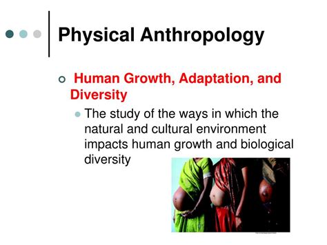 Ppt Anthropology The Human Challenge 13th Edition Powerpoint