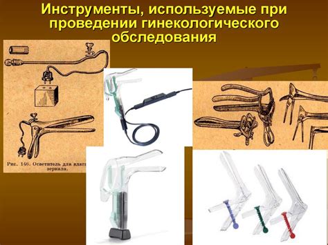 Ветеринарная гинекология - презентация онлайн