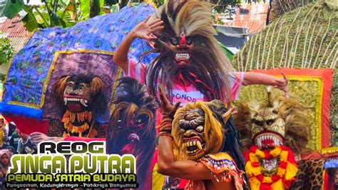 Reog Singa Putra Ebeg Pemuda Satria Budaya Di Kedungwringin