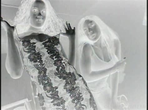 Hot Black Babes Share Their Man S Cocks From SugarWalls 33 2001 By Elegant Angel HotMovies