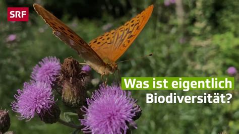 Mehr Als Artenvielfalt Was Ist Biodiversit T Mission B Srf