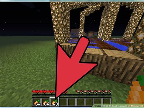 3 Easy Ways To Get Carrots In Minecraft With Pictures