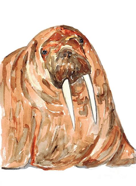 Walrus Watercolor Art Painting By Maryna Salagub