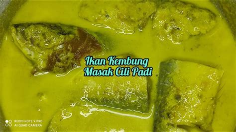 Ikan Kembung Masak Lemak Cili Padi Pekat Padu Memang Sedap YouTube