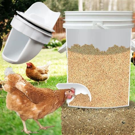 DIY Chicken Feeder - USAMERICA SHOP