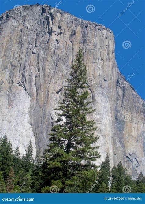 Rock with Possible Climbing Routes at El Capitan in Yosemite Valley ...